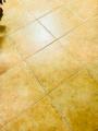 Blk 627 Yishun Street 61 (Yishun), HDB 4 Rooms #154988722